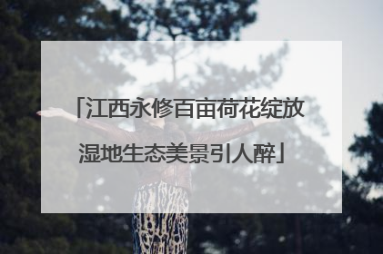 江西永修百亩荷花绽放 湿地生态美景引人醉