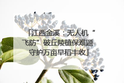 江西金溪：无人机“飞防”破丘陵植保难题 守护万亩早稻丰收