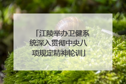 江陵举办卫健系统深入贯彻中央八项规定精神轮训