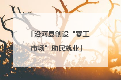 沿河县创设“零工市场”助民就业