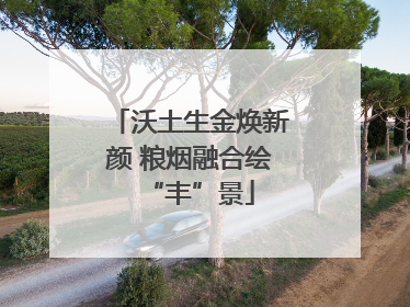 沃土生金焕新颜 粮烟融合绘“丰”景