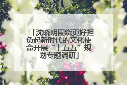 沈晓明围绕更好担负起新时代的文化使命开展“十五五”规划专题调研