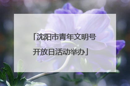 沈阳市青年文明号开放日活动举办