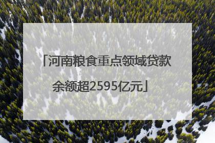 河南粮食重点领域贷款余额超2595亿元