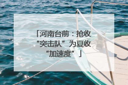 河南台前：抢收“突击队”为夏收“加速度”