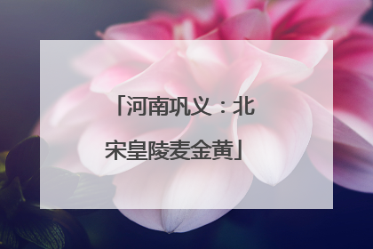 河南巩义：北宋皇陵麦金黄