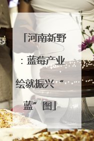 河南新野：蓝莓产业绘就振兴“蓝”图