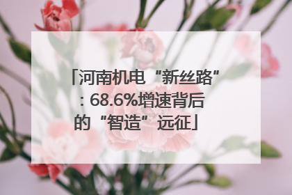 河南机电“新丝路”：68.6%增速背后的“智造”远征