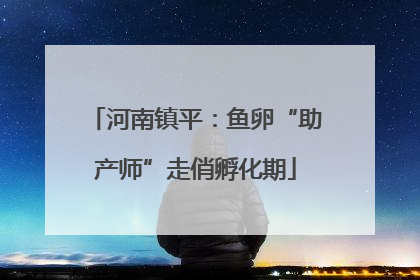 河南镇平：鱼卵“助产师”走俏孵化期