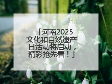 河南2025文化和自然遗产日活动将启动，精彩抢先看！
