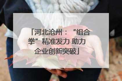 河北沧州：“组合拳”精准发力 助力企业创新突破
