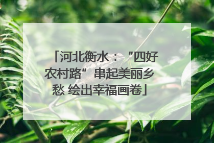 河北衡水：“四好农村路”串起美丽乡愁 绘出幸福画卷