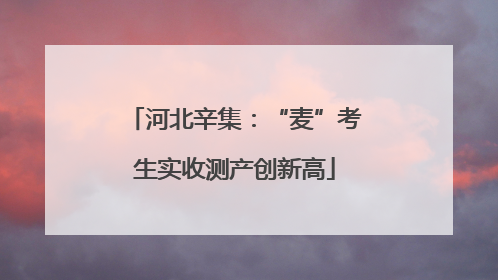 河北辛集：“麦”考生实收测产创新高