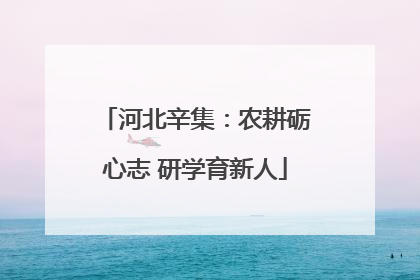河北辛集：农耕砺心志 研学育新人