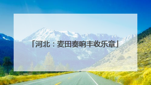 河北：麦田奏响丰收乐章