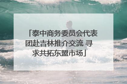 泰中商务委员会代表团赴吉林推介交流 寻求共拓东盟市场