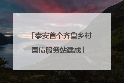 泰安首个齐鲁乡村国债服务站建成
