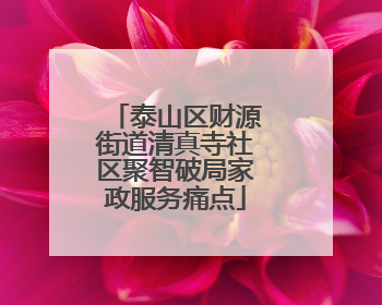 泰山区财源街道清真寺社区聚智破局家政服务痛点