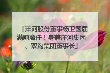 洋河股份董事杨卫国届满前离任！身兼洋河集团、双沟集团董事长