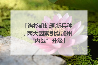 洛杉矶惊现新兵种，两大因素引爆加州“内战”升级