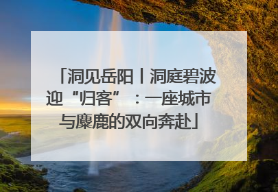 洞见岳阳丨洞庭碧波迎“归客”：一座城市与麋鹿的双向奔赴