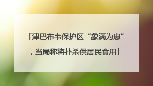 津巴布韦保护区“象满为患”，当局称将扑杀供居民食用