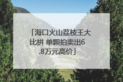 海口火山荔枝王大比拼 单颗拍卖出6.8万元高价