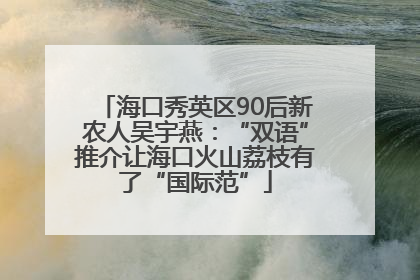 海口秀英区90后新农人吴宇燕：“双语”推介让海口火山荔枝有了“国际范”
