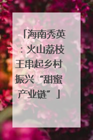 海南秀英：火山荔枝王串起乡村振兴“甜蜜产业链”