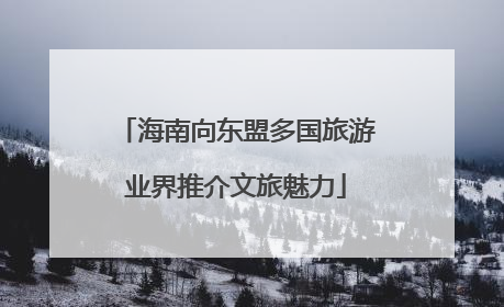海南向东盟多国旅游业界推介文旅魅力
