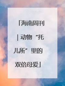 海南周刊｜动物“托儿所”里的双倍母爱