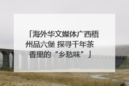 海外华文媒体广西梧州品六堡 探寻千年茶香里的“乡愁味”