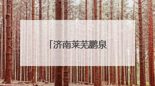 济南莱芜鹏泉实验小学六一联欢会精彩纷呈