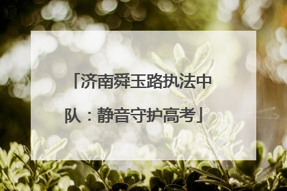 济南舜玉路执法中队：静音守护高考