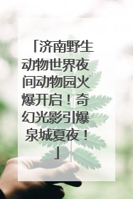 济南野生动物世界夜间动物园火爆开启！奇幻光影引爆泉城夏夜！