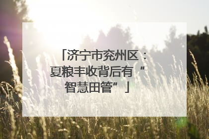 济宁市兖州区：夏粮丰收背后有“智慧田管”