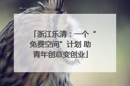 浙江乐清：一个“免费空间”计划 助青年创意变创业