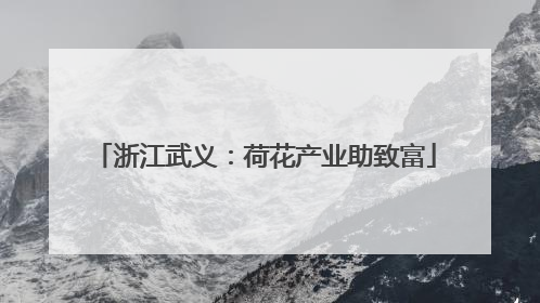浙江武义：荷花产业助致富