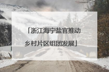 浙江海宁盐官推动乡村片区组团发展