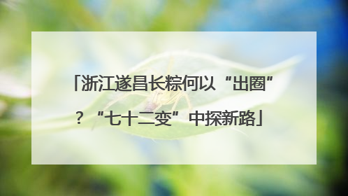 浙江遂昌长粽何以“出圈”？“七十二变”中探新路