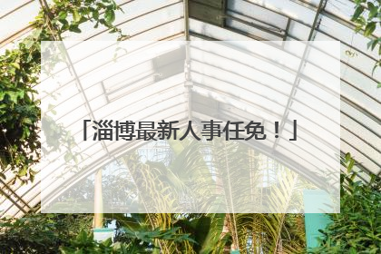 淄博最新人事任免！