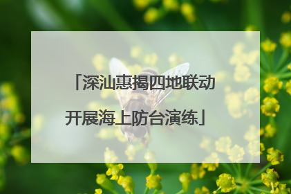 深汕惠揭四地联动开展海上防台演练
