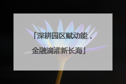 深耕园区赋动能，金融滴灌新长海