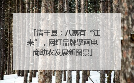清丰县：八寨有“江来”，网红品牌擘画电商助农发展新图景