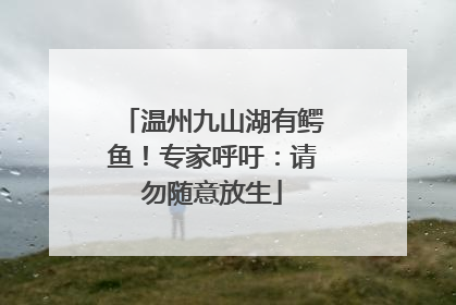 温州九山湖有鳄鱼！专家呼吁：请勿随意放生