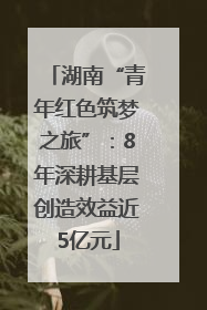 湖南“青年红色筑梦之旅”：8年深耕基层创造效益近5亿元