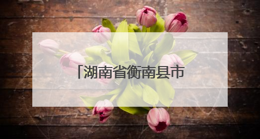 湖南省衡南县市场监管局：以精准“处方”助力企业高质量发展