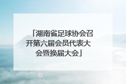 湖南省足球协会召开第六届会员代表大会暨换届大会
