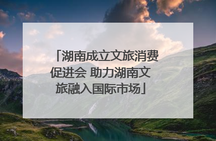 湖南成立文旅消费促进会 助力湖南文旅融入国际市场