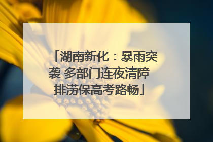 湖南新化：暴雨突袭 多部门连夜清障排涝保高考路畅